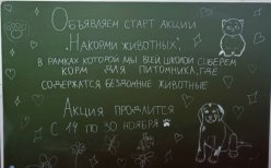 Акция "Накорми животных!".