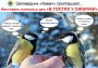 фестиваля «В гостях у синички» #вгостяхусинички