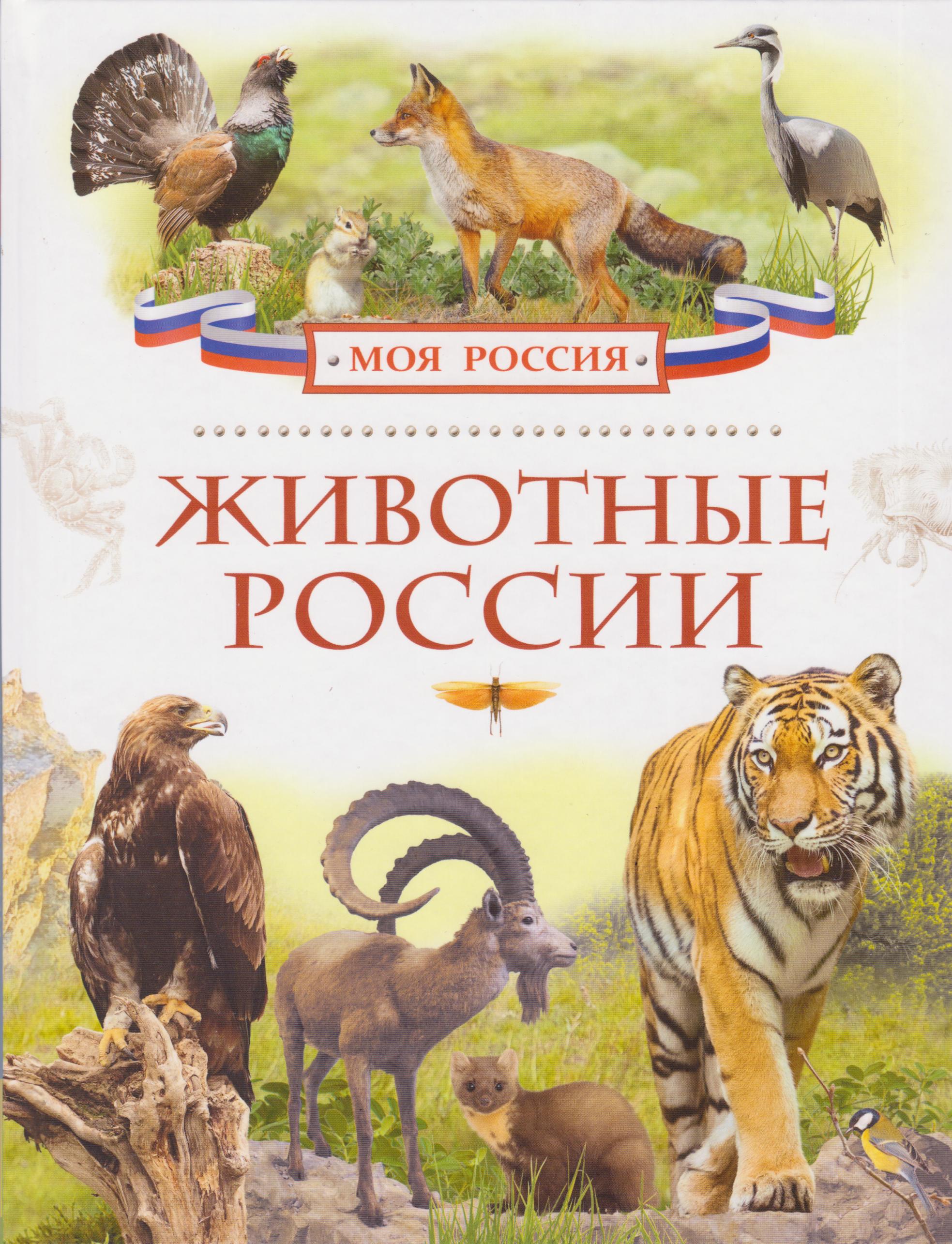 Животные России