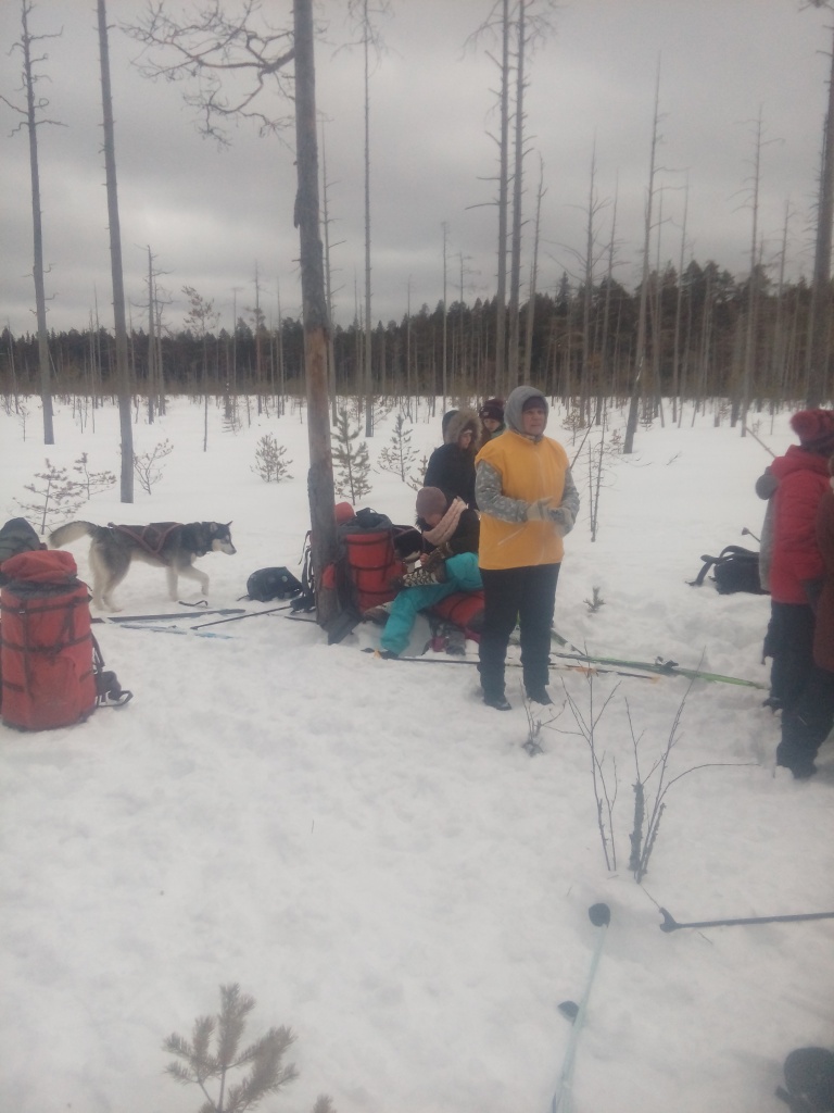 IMG_20190302_150749.jpg