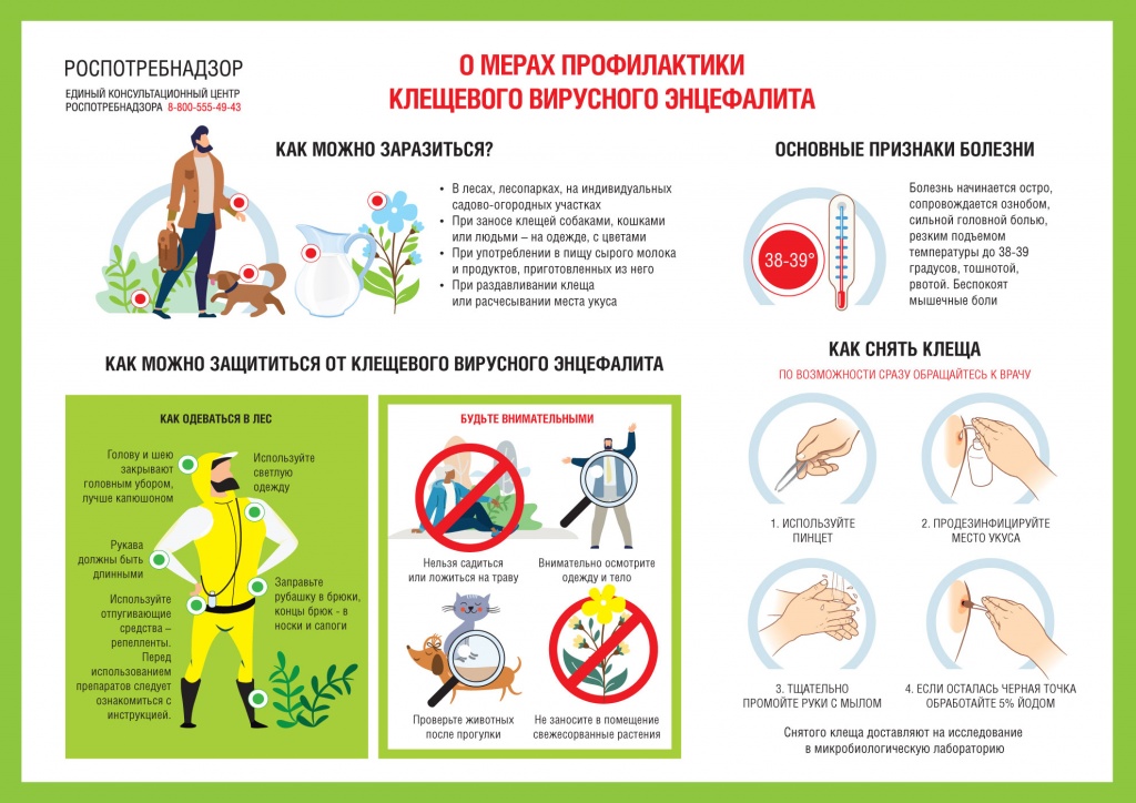 o-merakh-profilaktiki-kleshchevogo-virusnogo-entsefalita.jpg