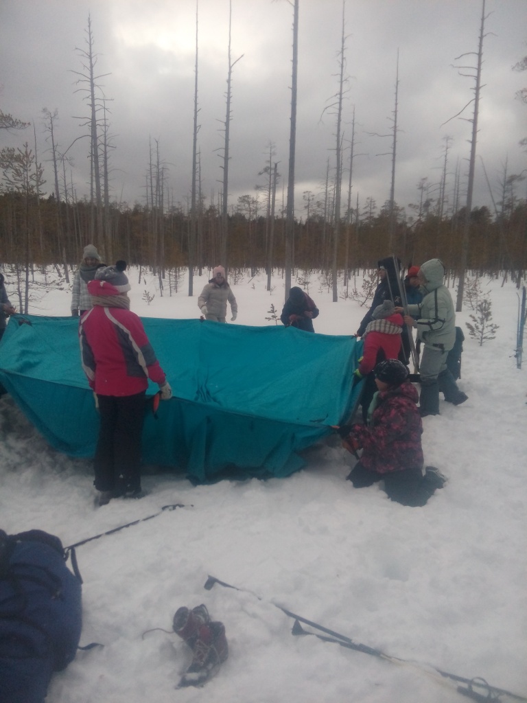 IMG_20190302_150720.jpg