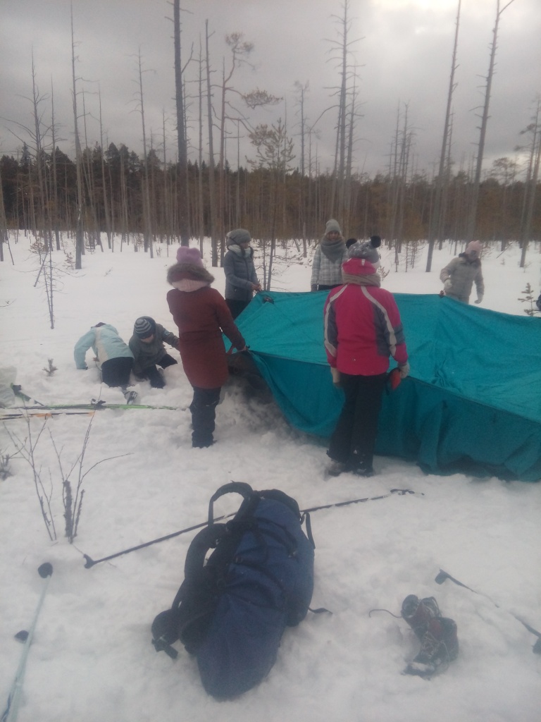 IMG_20190302_150717.jpg