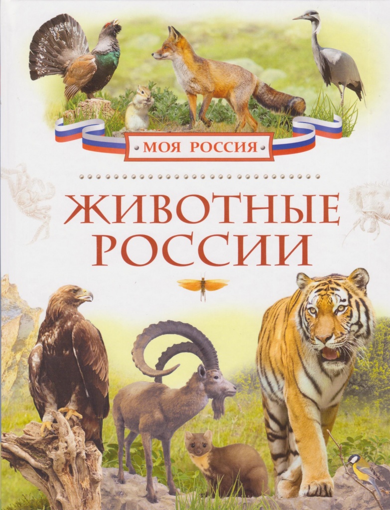 Е.JPG